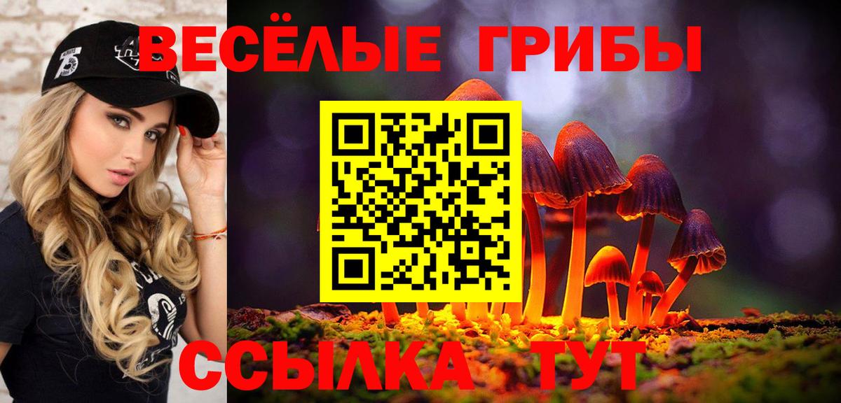 Галлюциногенные грибы Cubensis Рыбинск