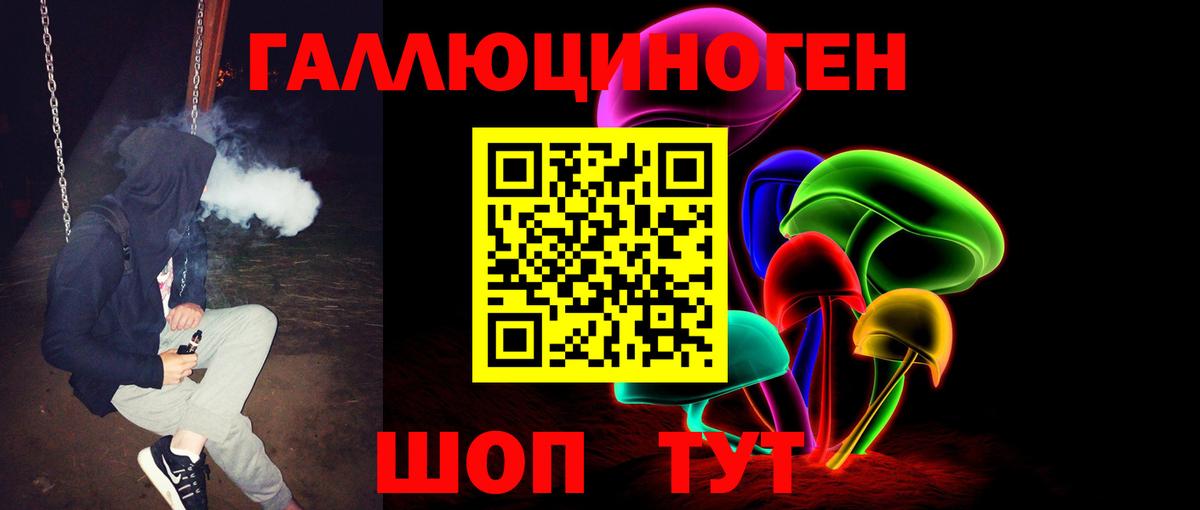 Псилоцибиновые грибы Psilocybe  Псилоцибиновые грибы прущие грибы  Вход с VPN  Рыбинск 